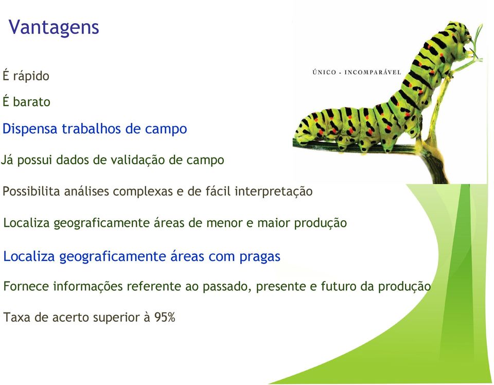 áreas de menor e maior produção Localiza geograficamente áreas com pragas Fornece