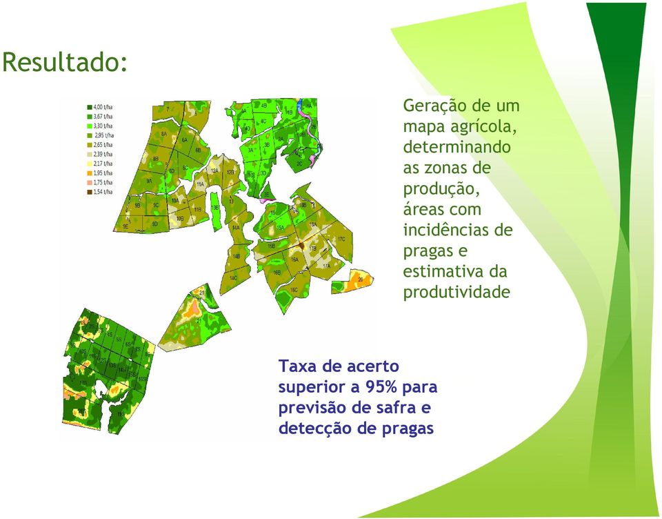 pragas e estimativa da produtividade Taxa de acerto