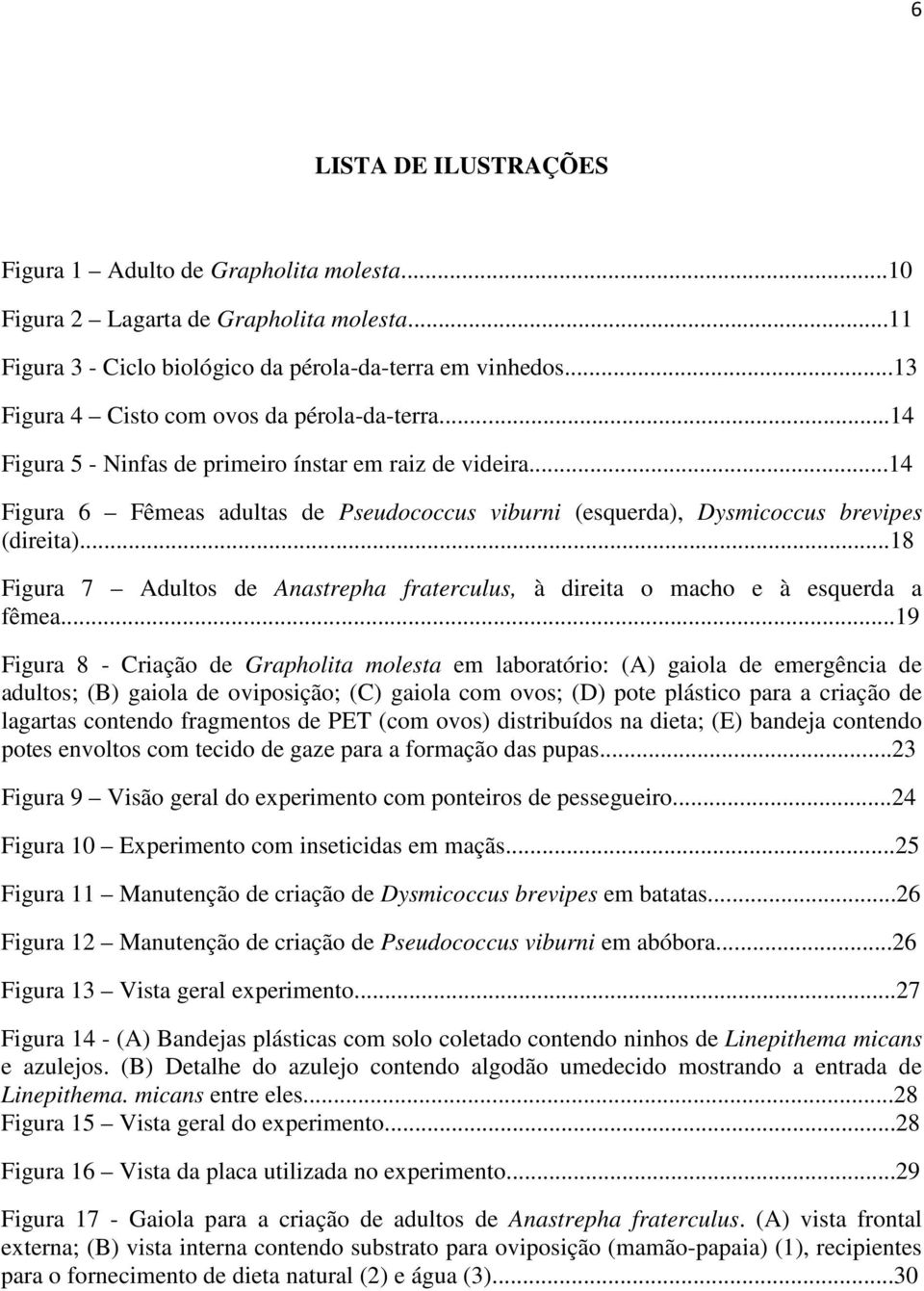 ..14 Figura 6 Fêmeas adultas de Pseudococcus viburni (esquerda), Dysmicoccus brevipes (direita)...18 Figura 7 Adultos de Anastrepha fraterculus, à direita o macho e à esquerda a fêmea.