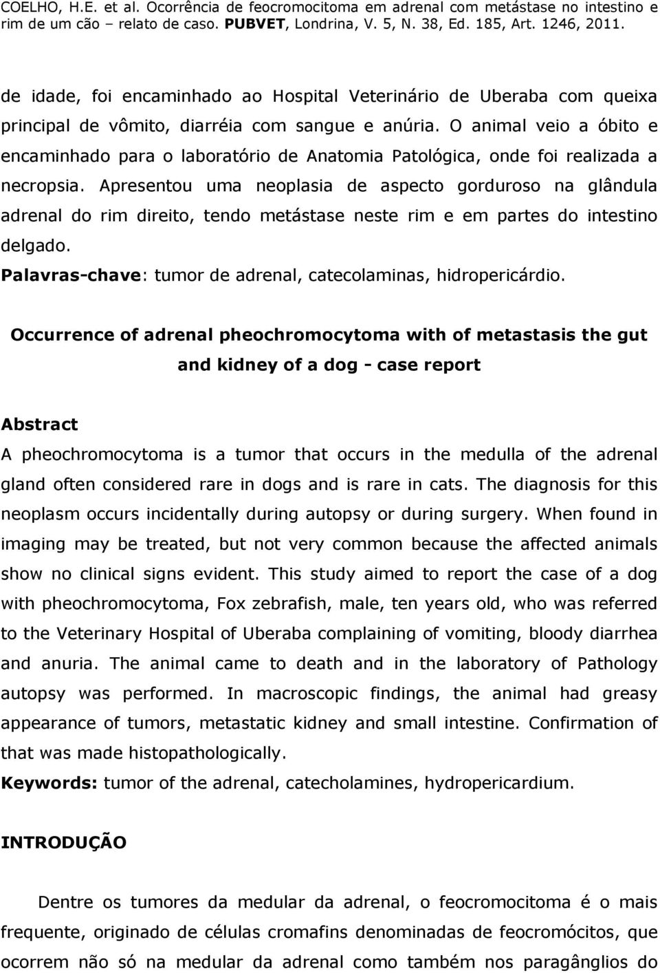 Apresentou uma neoplasia de aspecto gorduroso na glândula adrenal do rim direito, tendo metástase neste rim e em partes do intestino delgado.