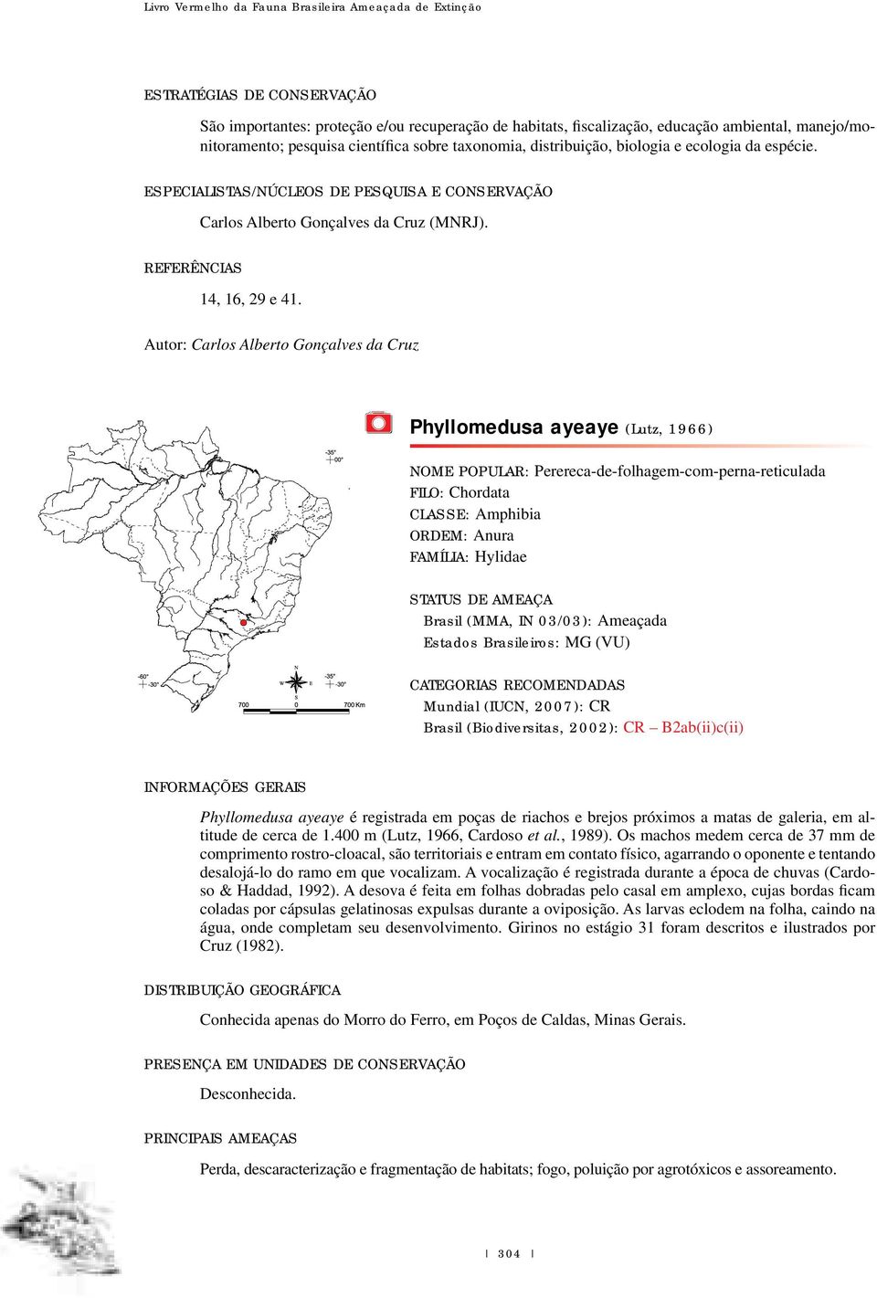 Autor: Carlos Alberto Gonçalves da Cruz Phyllomedusa ayeaye (Lutz, 1966) NOME POPULAR: Perereca-de-folhagem-com-perna-reticulada FILO: Chordata CLASSE: Amphibia ORDEM: Anura FAMÍLIA: Hylidae STATUS