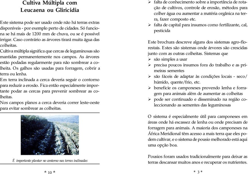 Cultiva múltipla significa que cercas de leguminosas são mantidas permanentemente nos campos. As árvores estão podadas regularmente para não sombrear a colheita.