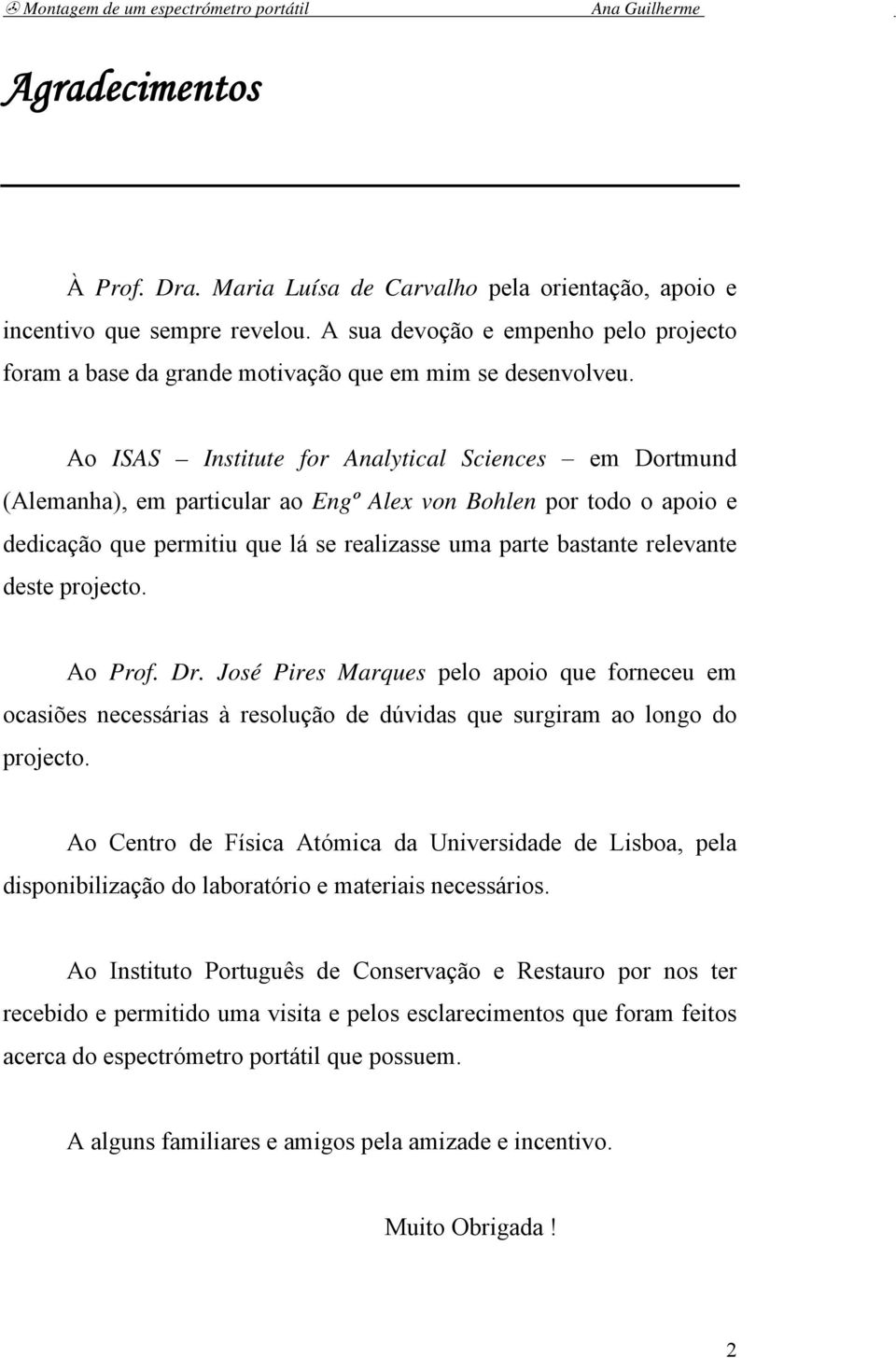 Ao ISAS Institute for Analytical Sciences em Dortmund (Alemanha), em particular ao Engº Alex von Bohlen por todo o apoio e dedicação que permitiu que lá se realizasse uma parte bastante relevante