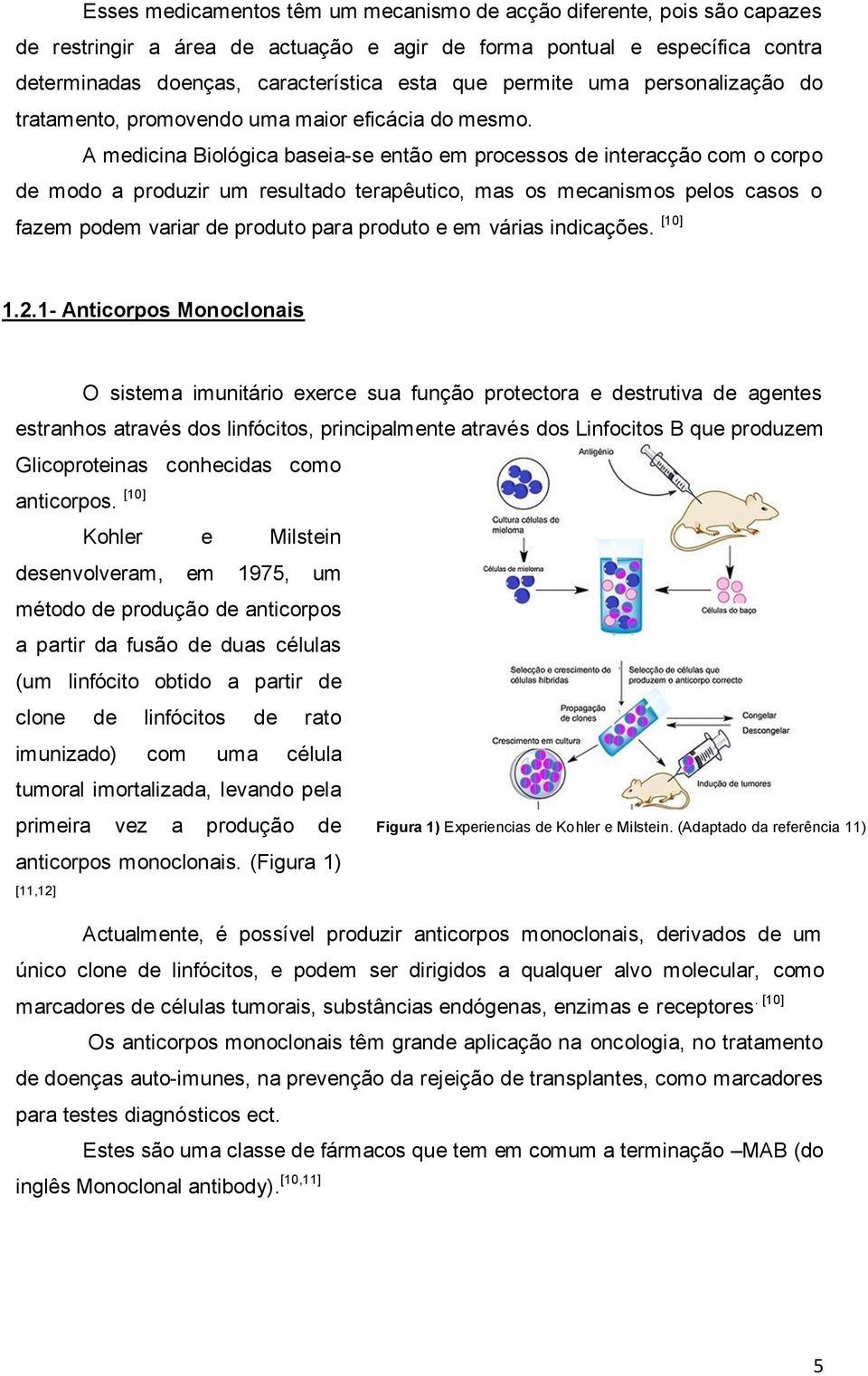 A medicina Biológica baseia-se então em processos de interacção com o corpo de modo a produzir um resultado terapêutico, mas os mecanismos pelos casos o fazem podem variar de produto para produto e