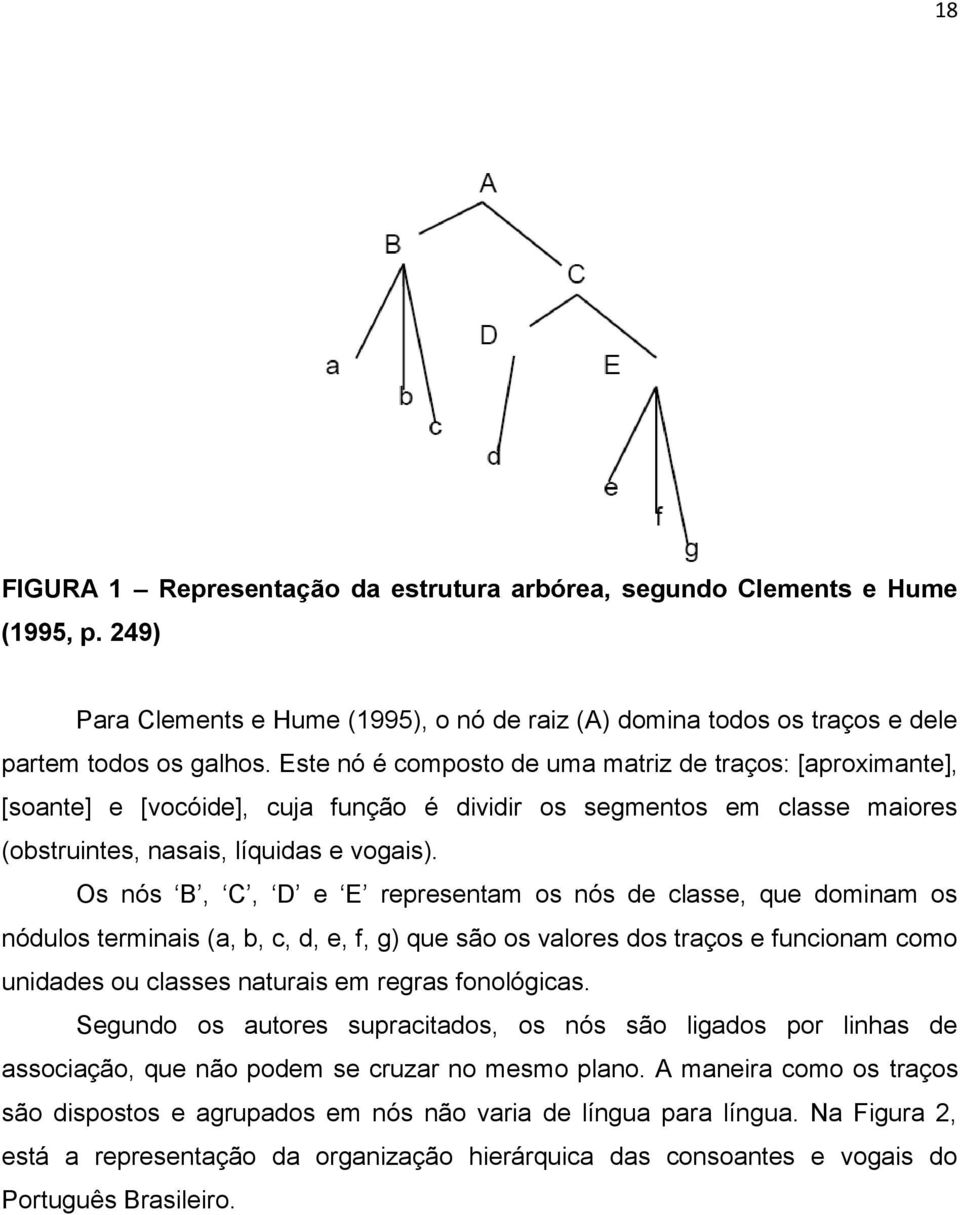 Os nós B, C, D e E representam os nós de classe, que dominam os nódulos terminais (a, b, c, d, e, f, g) que são os valores dos traços e funcionam como unidades ou classes naturais em regras