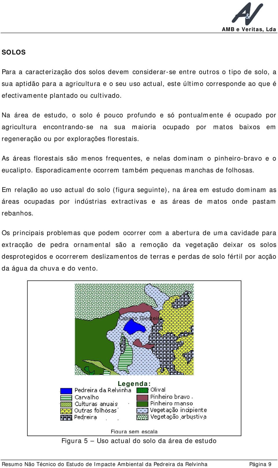 As áreas florestais são menos frequentes, e nelas dominam o pinheiro-bravo e o eucalipto. Esporadicamente ocorrem também pequenas manchas de folhosas.