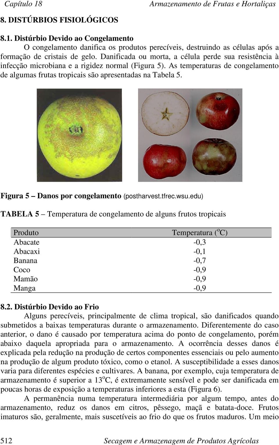 Danificada ou morta, a célula perde sua resistência à infecção microbiana e a rigidez normal (Figura 5). As temperaturas de congelamento de algumas frutas tropicais são apresentadas na Tabela 5.
