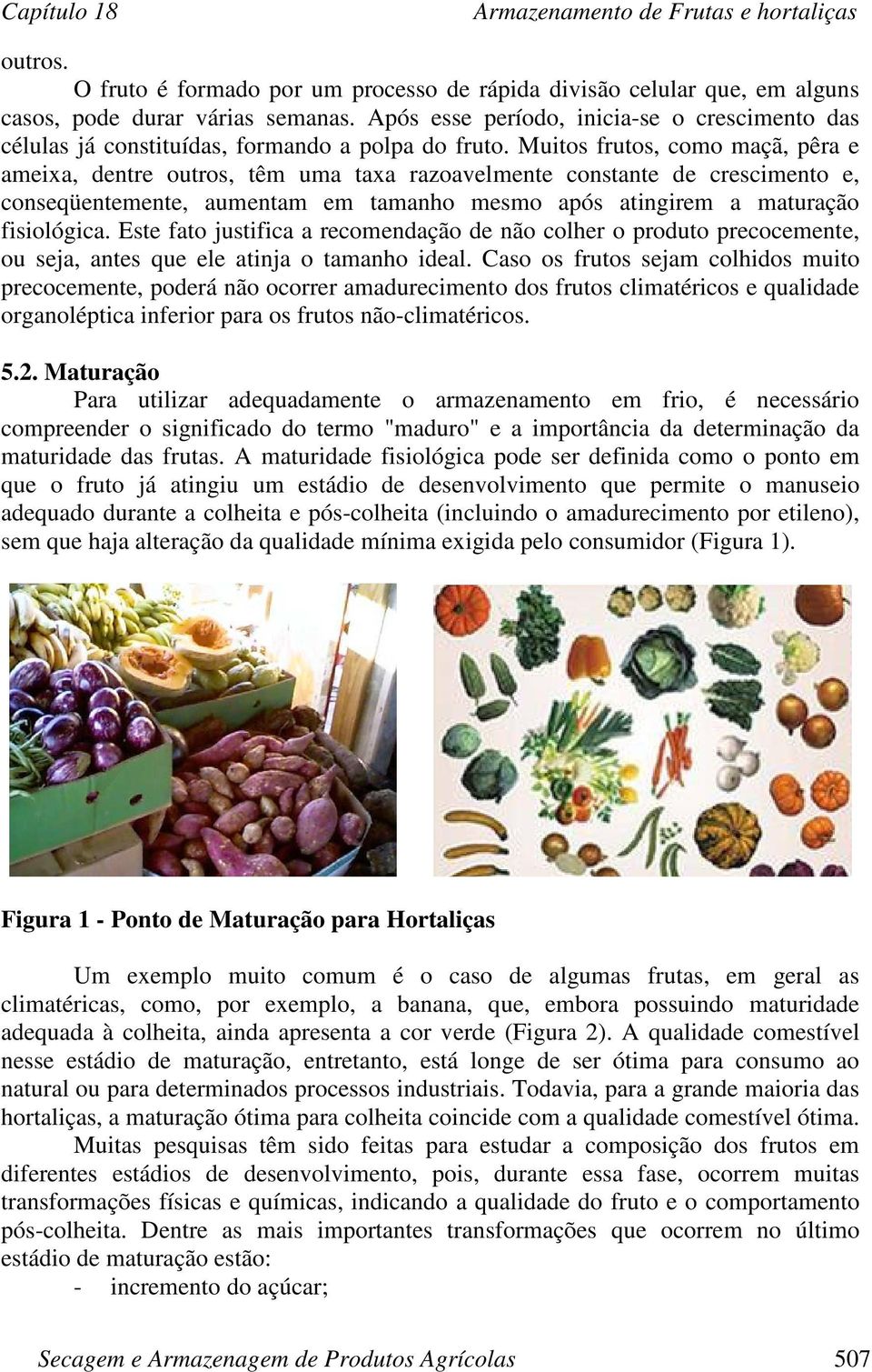 Muitos frutos, como maçã, pêra e ameixa, dentre outros, têm uma taxa razoavelmente constante de crescimento e, conseqüentemente, aumentam em tamanho mesmo após atingirem a maturação fisiológica.