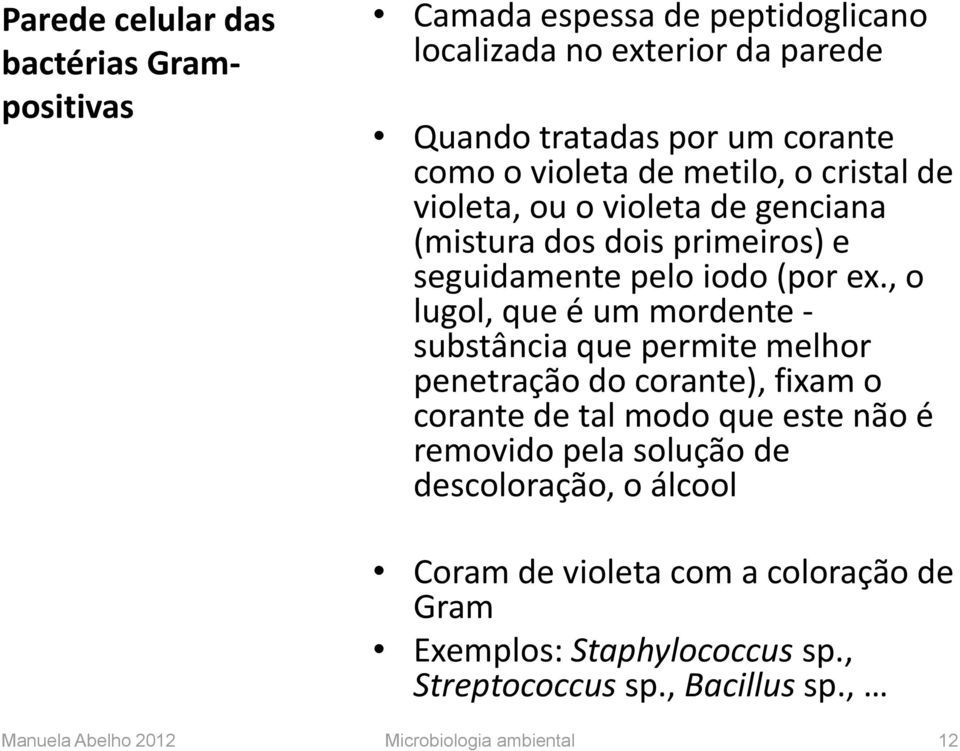 , o lugol, que é um mordente - substância que permite melhor penetração do corante), fixam o corante de tal modo que este não é removido pela solução