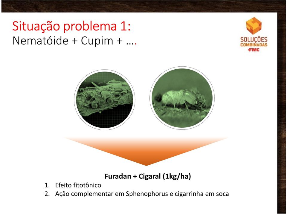 Furadan + Cigaral(1kg/ha) 1.