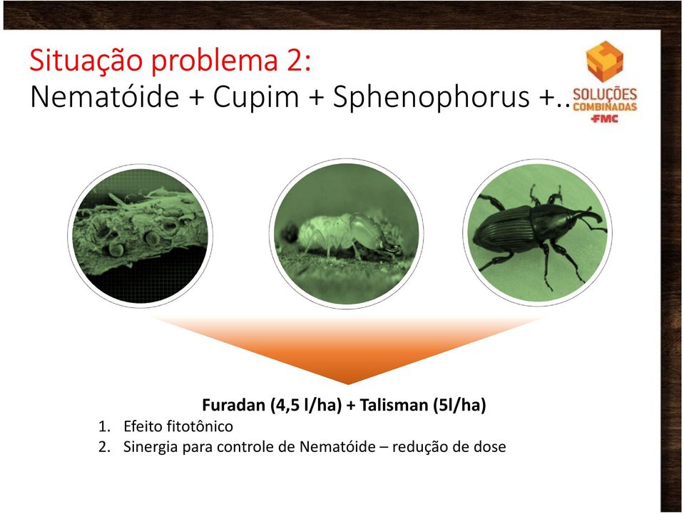 . Furadan(4,5 l/ha) + Talisman (5l/ha) 1.