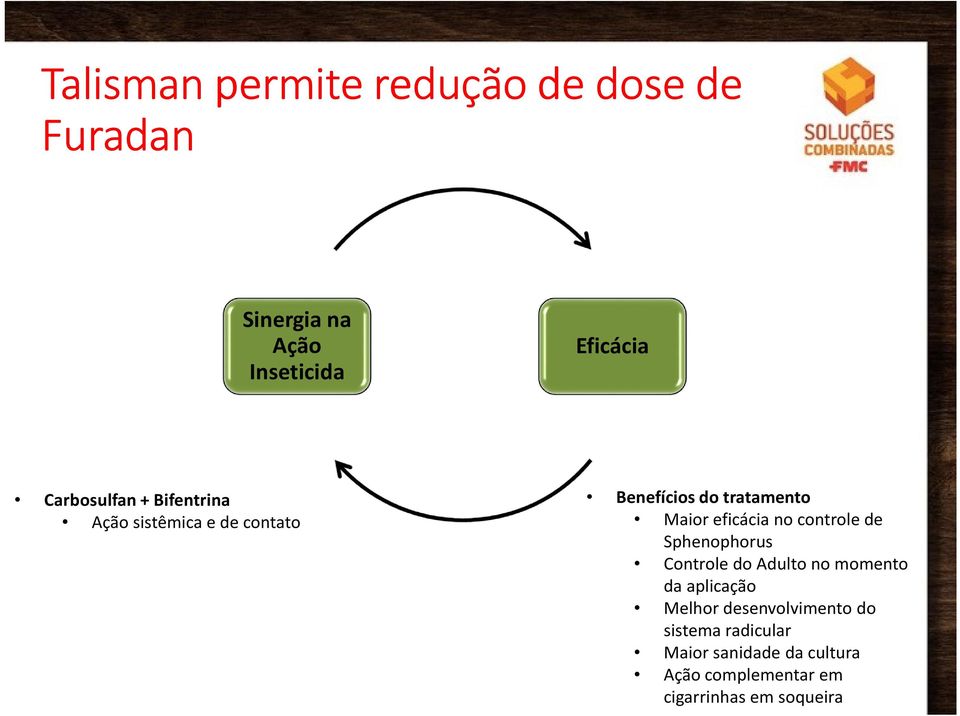 Maioreficáciano controlede Sphenophorus Controle do Adulto no momento da aplicação