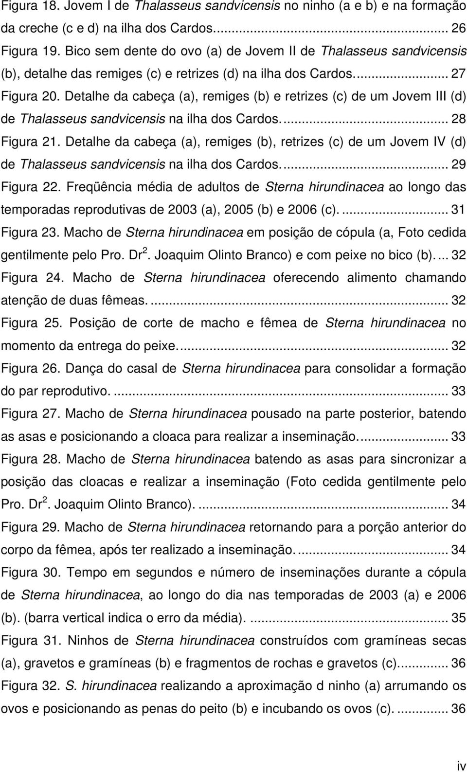 Detalhe da cabeça (a), remiges (b) e retrizes (c) de um Jovem III (d) de Thalasseus sandvicensis na ilha dos Cardos... 28 Figura 21.