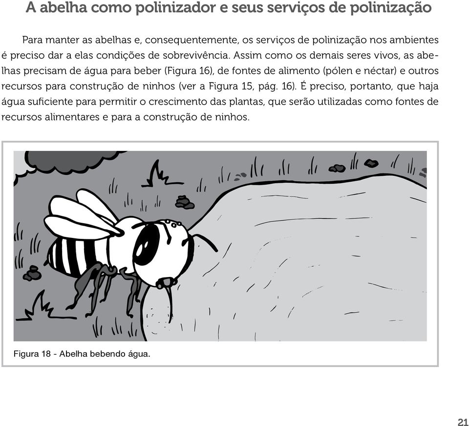 Assim como os demais seres vivos, as abelhas precisam de água para beber (Figura 16), de fontes de alimento (pólen e néctar) e outros recursos para