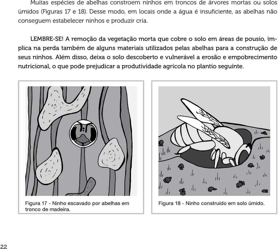 A remoção da vegetação morta que cobre o solo em áreas de pousio, implica na perda também de alguns materiais utilizados pelas abelhas para a construção de seus