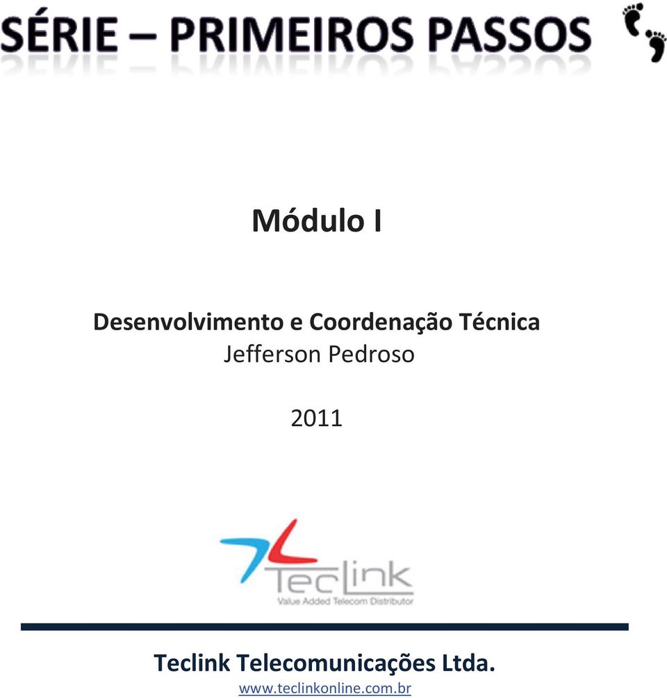 Pedroso 2011 Teclink