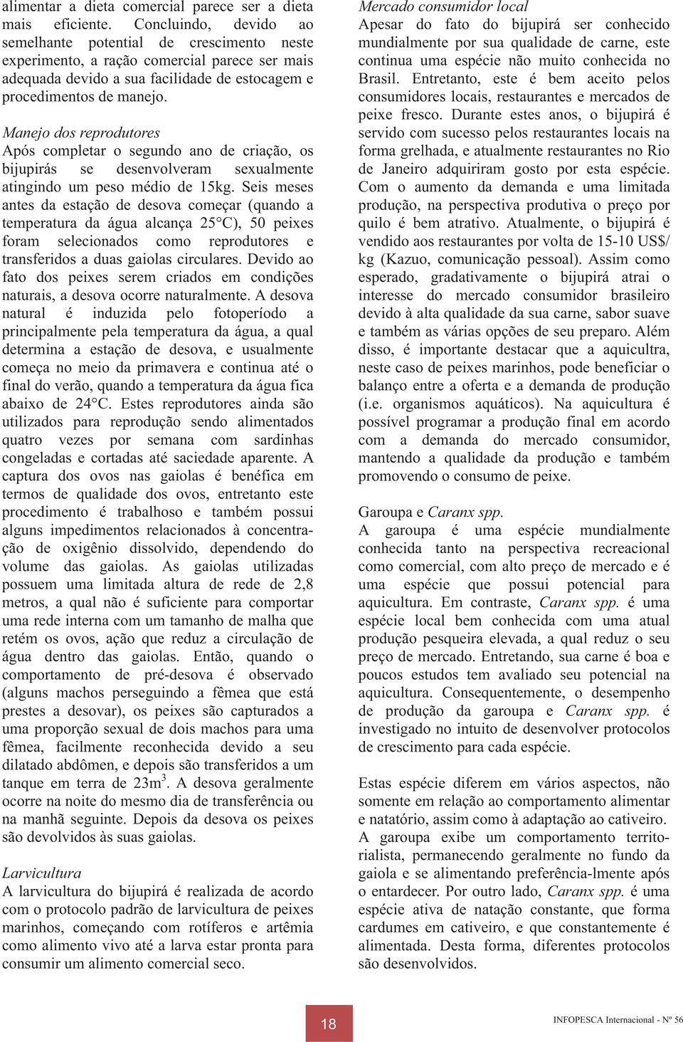 Manejo dos reprodutores Após completar o segundo ano de criação, os bijupirás se desenvolveram sexualmente atingindo um peso médio de 15kg.