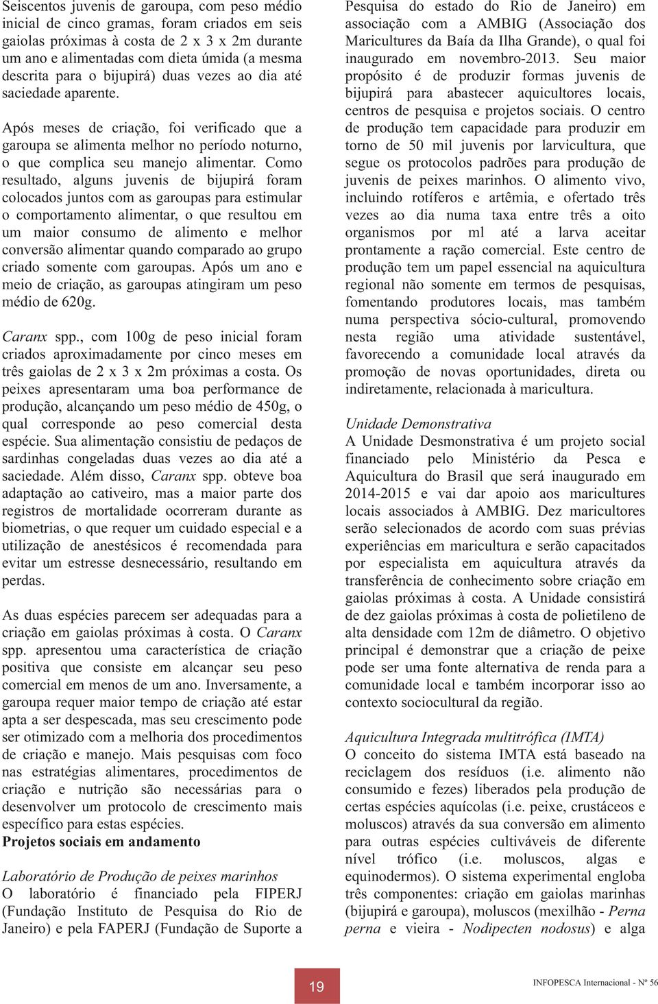 Como resultado, alguns juvenis de bijupirá foram colocados juntos com as garoupas para estimular o comportamento alimentar, o que resultou em um maior consumo de alimento e melhor conversão alimentar