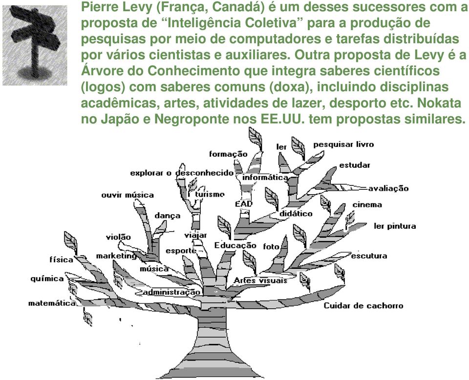 Outra proposta de Levy é a Árvore do Conhecimento que integra saberes científicos (logos) com saberes comuns