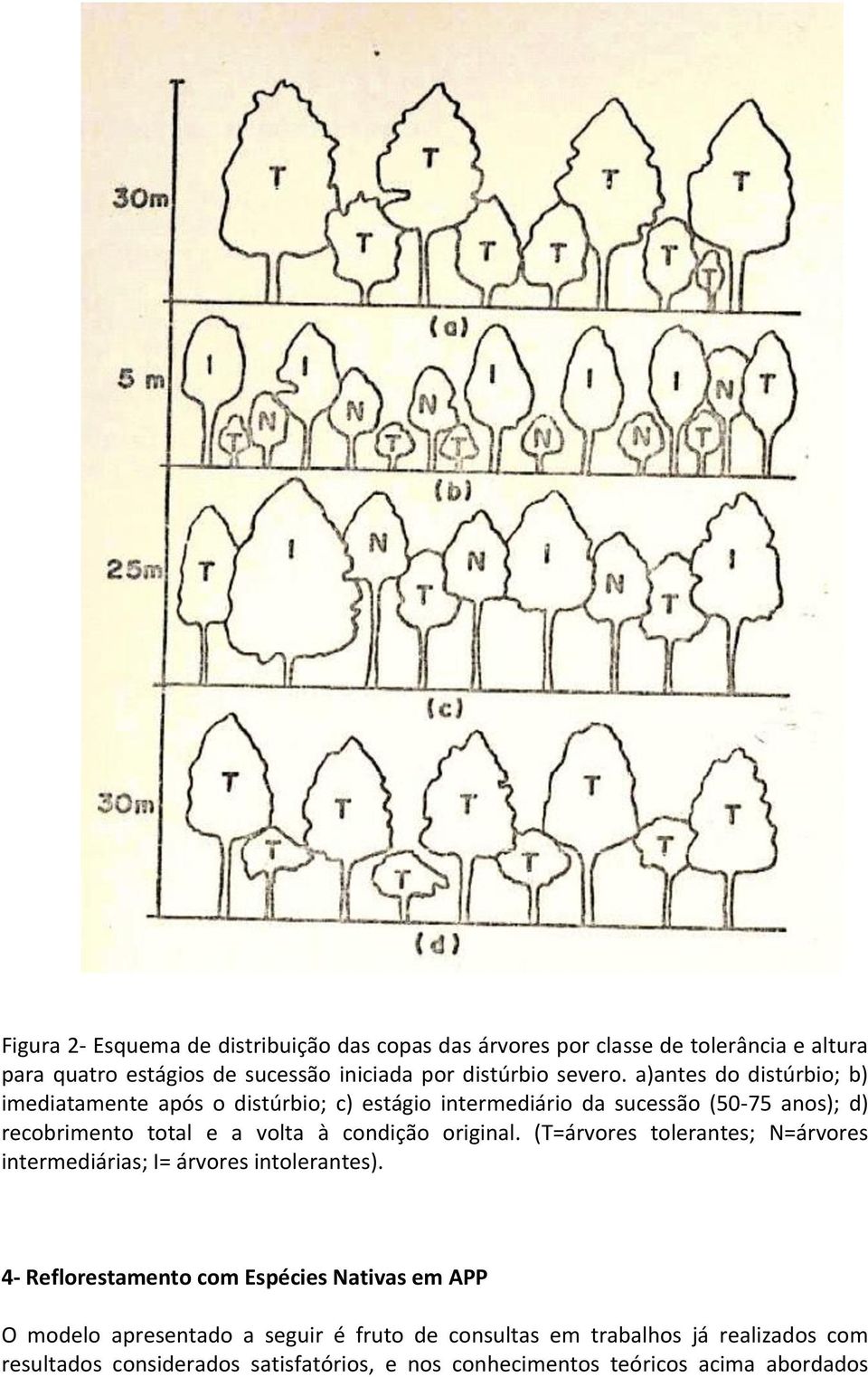 a)antes do distúrbio; b) imediatamente após o distúrbio; c) estágio intermediário da sucessão (50-75 anos); d) recobrimento total e a volta à condição