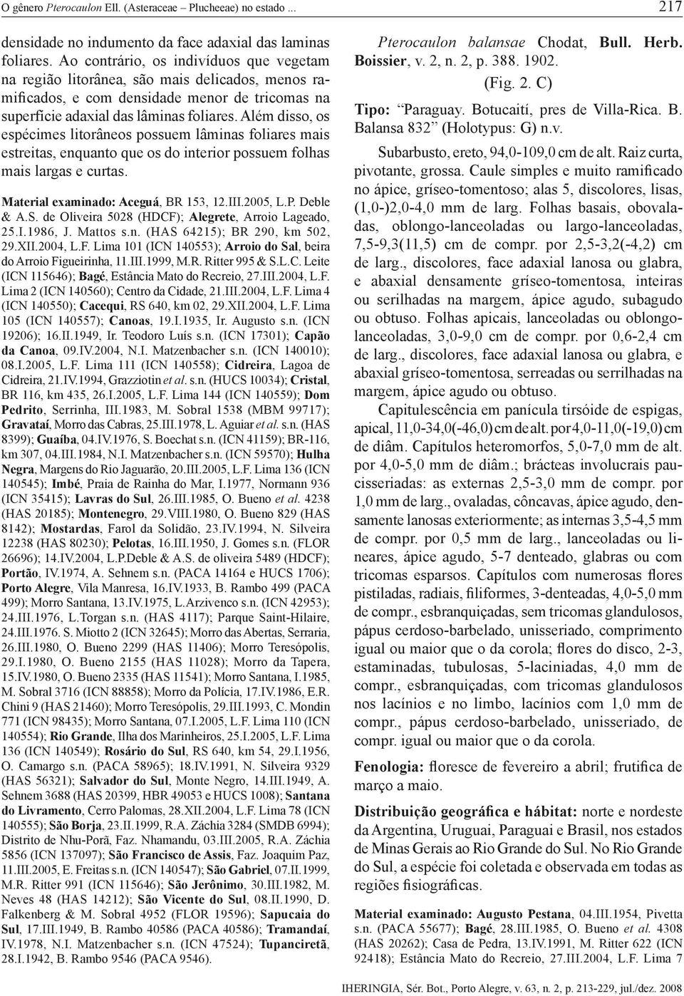 Além disso, os espécimes litorâneos possuem lâminas foliares mais estreitas, enquanto que os do interior possuem folhas mais largas e curtas. Material examinado: Aceguá, BR 153, 12.III.2005, L.P.