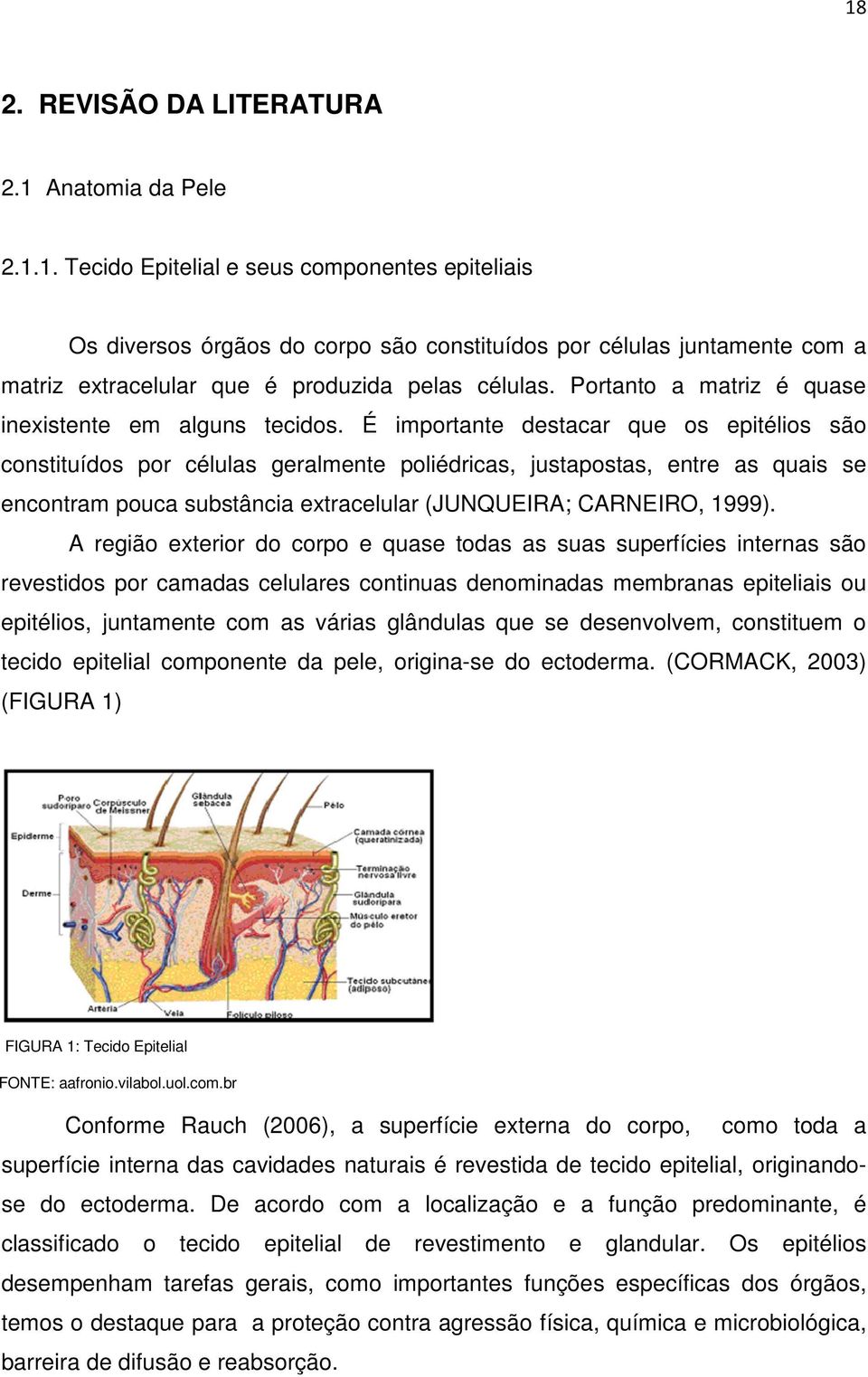 É importante destacar que os epitélios são constituídos por células geralmente poliédricas, justapostas, entre as quais se encontram pouca substância extracelular (JUNQUEIRA; CARNEIRO, 1999).