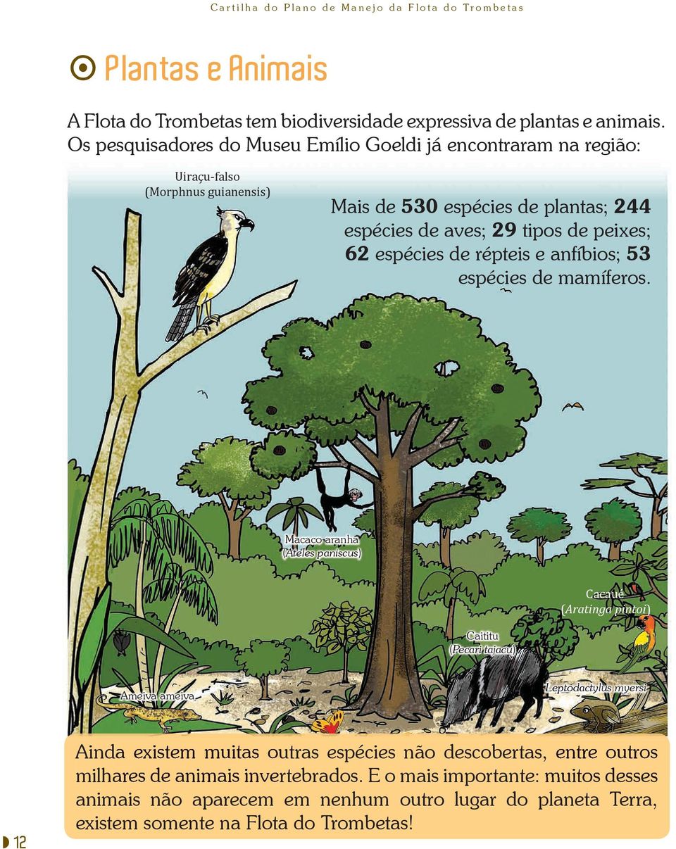 peixes; 62 espécies de répteis e anfíbios; 53 espécies de mamíferos.