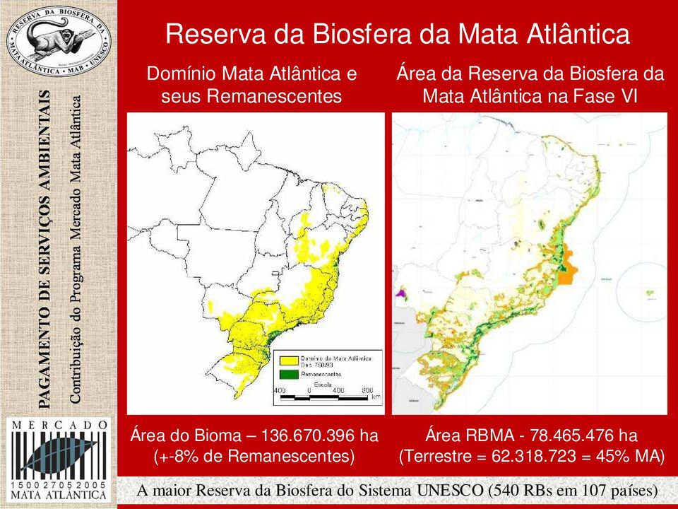 Bioma 136.670.396 ha (+-8% de Remanescentes) Área RBMA - 78.465.
