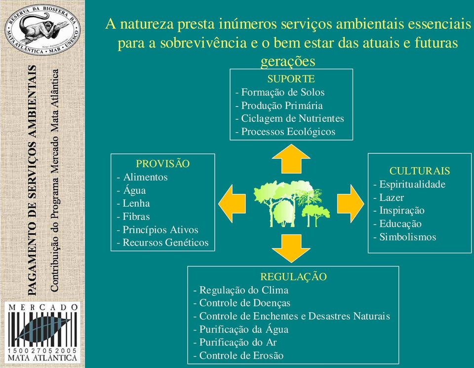 Princípios Ativos - Recursos Genéticos CULTURAIS - Espiritualidade - Lazer - Inspiração - Educação - Simbolismos REGULAÇÃO - Regulação