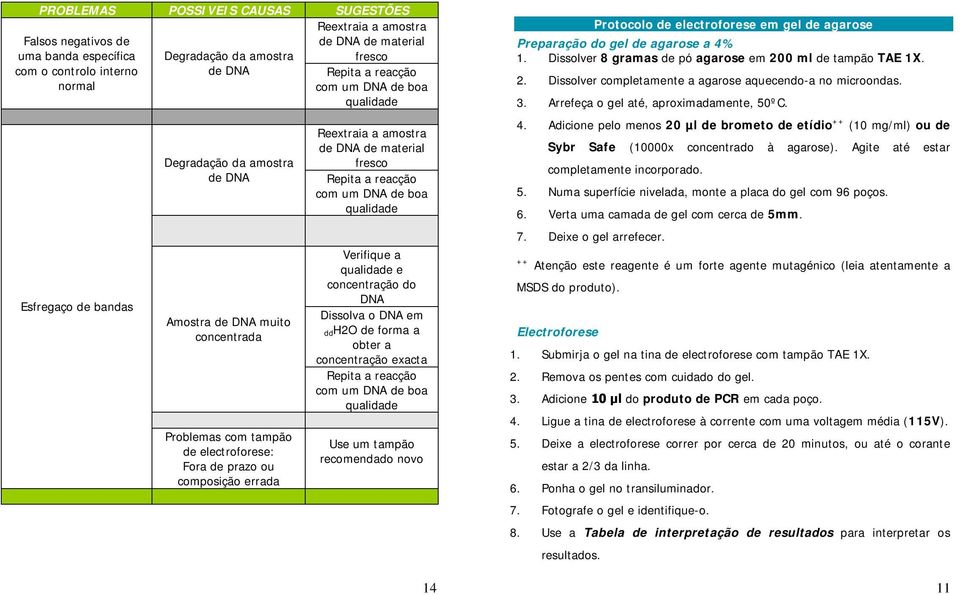 DNA de material fresco Repita a com um DNA de boa qualidade Verifique a qualidade e concentração do DNA Dissolva o DNA em ddh2o de forma a obter a concentração exacta Repita a com um DNA de boa