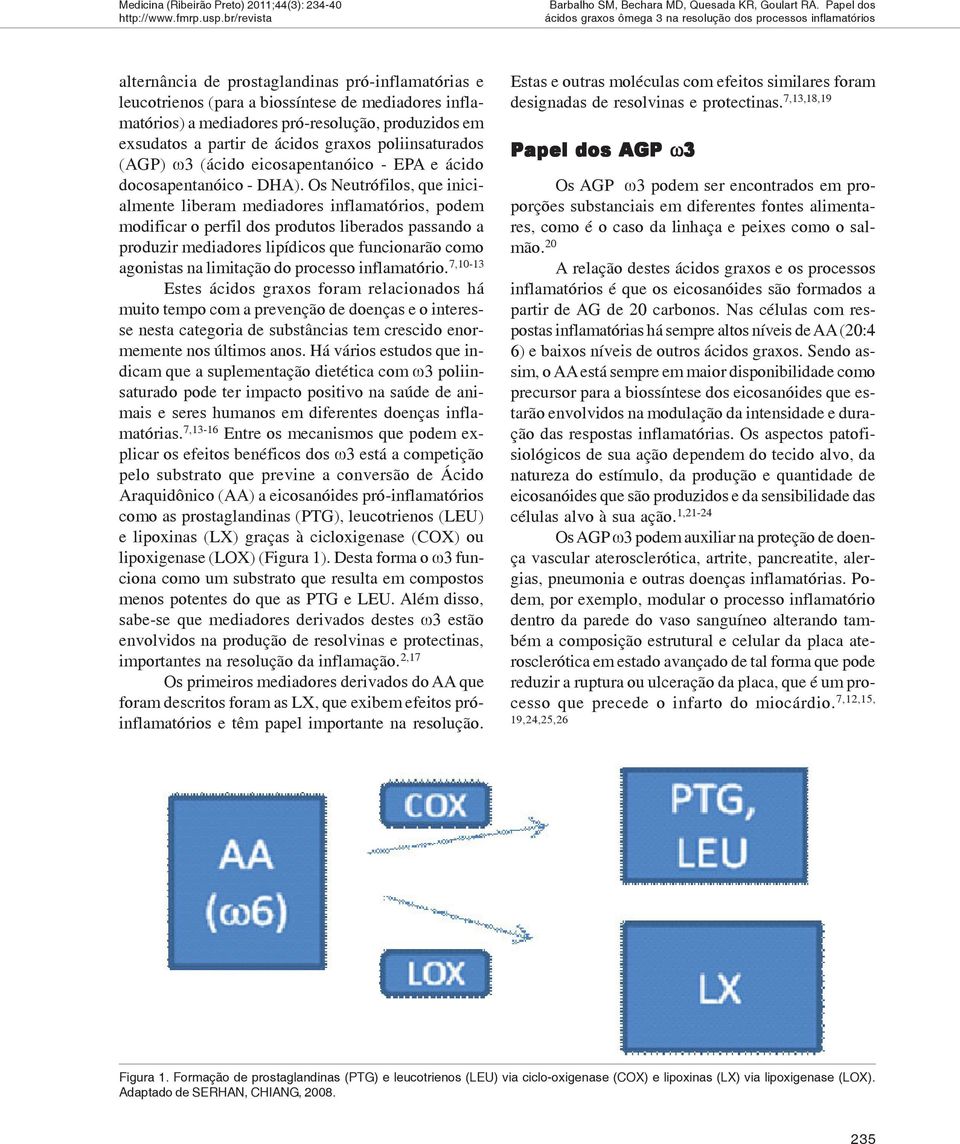 graxos poliinsaturados (AGP) ω3 (ácido eicosapentanóico - EPA e ácido docosapentanóico - DHA).