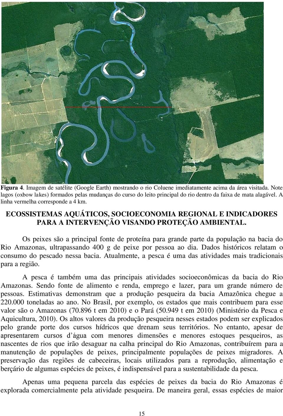 ECOSSISTEMAS AQUÁTICOS, SOCIOECONOMIA REGIONAL E INDICADORES PARA A INTERVENÇÃO VISANDO PROTEÇÃO AMBIENTAL.