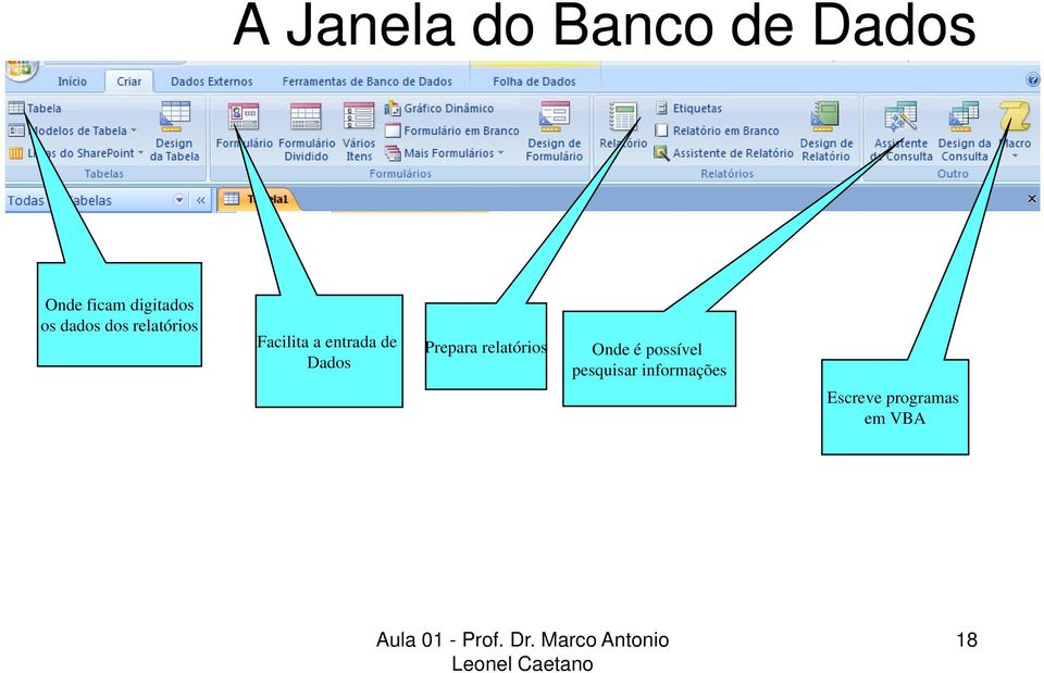 entrada de Dados Prepara relatórios Onde é