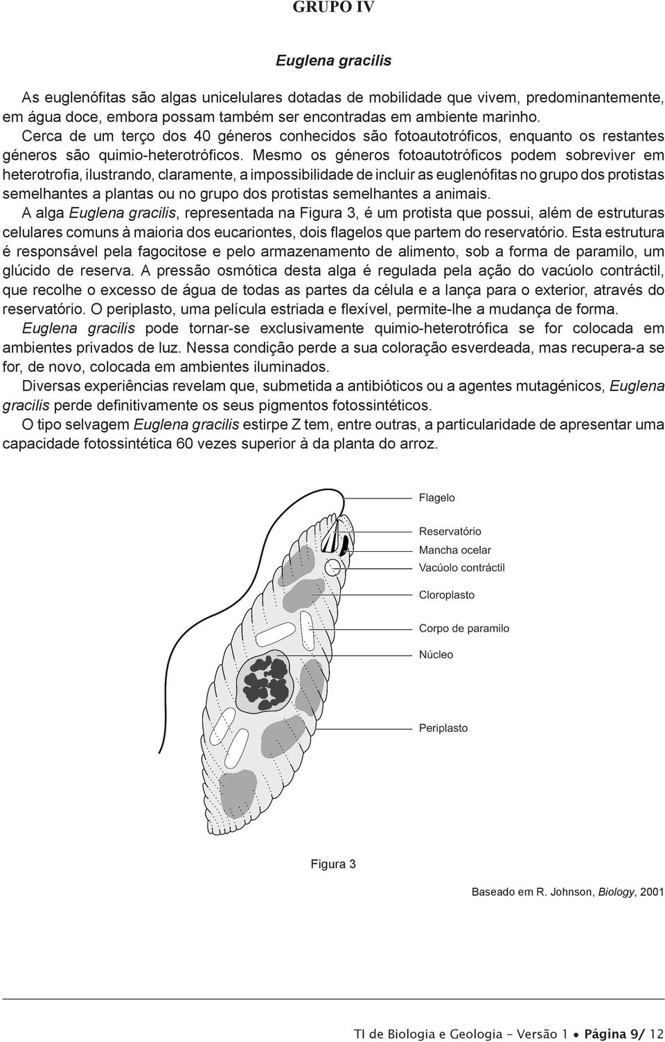 Mesmo os géneros fotoautotróficos podem sobreviver em heterotrofia, ilustrando, claramente, a impossibilidade de incluir as euglenófitas no grupo dos protistas semelhantes a plantas ou no grupo dos