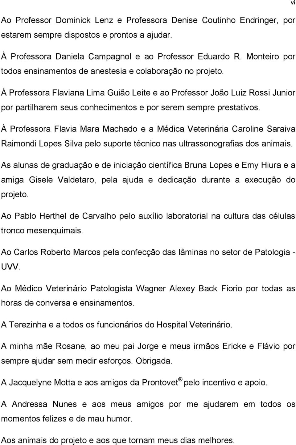 À Professora Flaviana Lima Guião Leite e ao Professor João Luiz Rossi Junior por partilharem seus conhecimentos e por serem sempre prestativos.