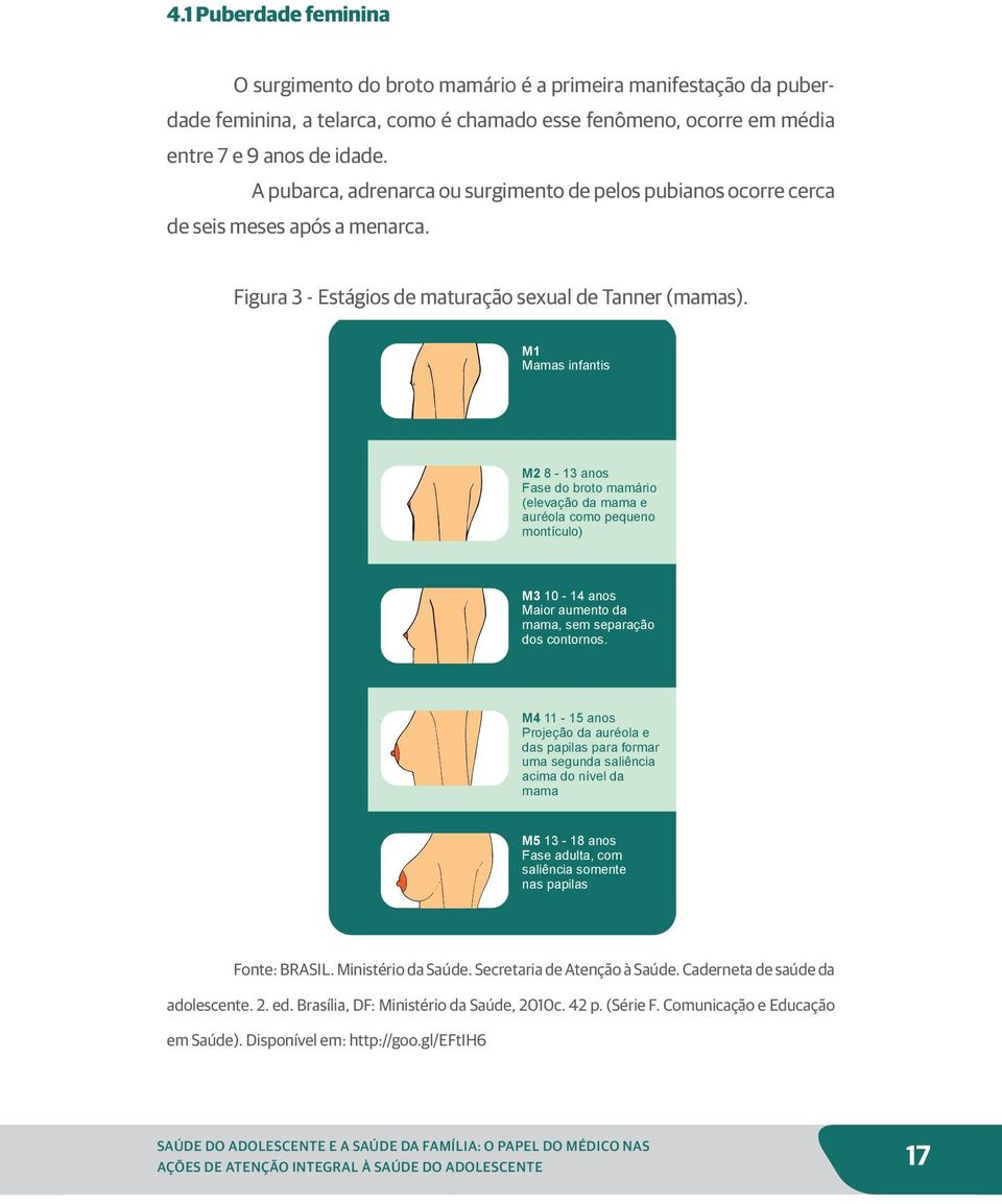 M1 Mamas infantis M2 8-13 anos Fase do broto mamário (elevação da mama e auréola como pequeno montículo) M3 10-14 anos Maior aumento da mama, sem separação dos contornos.