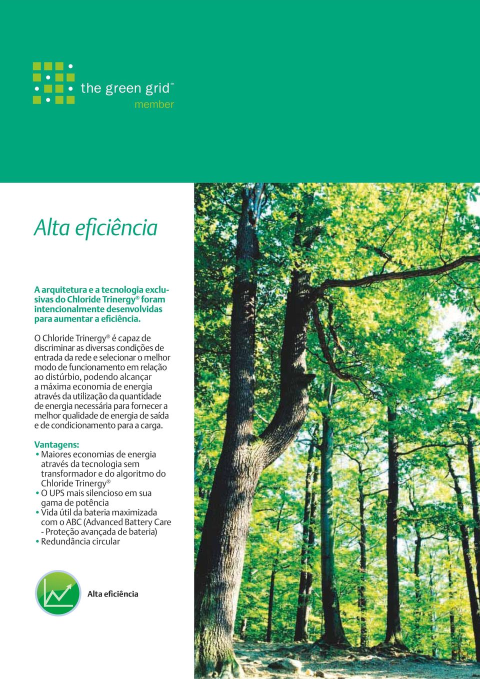 energia através da utilização da quantidade de energia necessária para fornecer a melhor qualidade de energia de saída e de condicionamento para a carga.