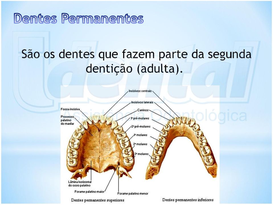 parte da