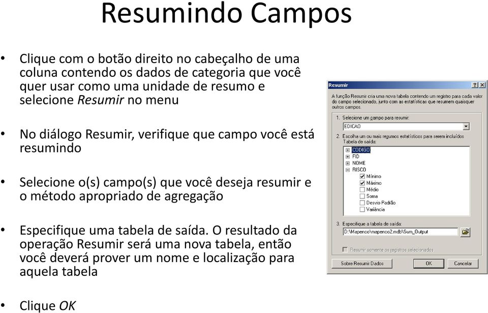 Selecione o(s) campo(s) que você deseja resumir e o método apropriado de agregação Especifique uma tabela de saída.