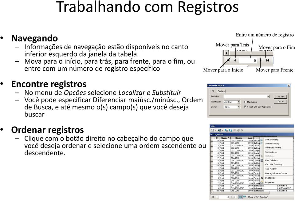 Substituir Você pode especificar Diferenciar maiúsc./minúsc.