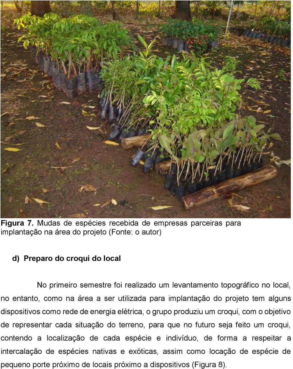 levantamento topográfico no local, no entanto, como na área a ser utilizada para implantação do projeto tem alguns dispositivos como rede de energia elétrica, o grupo