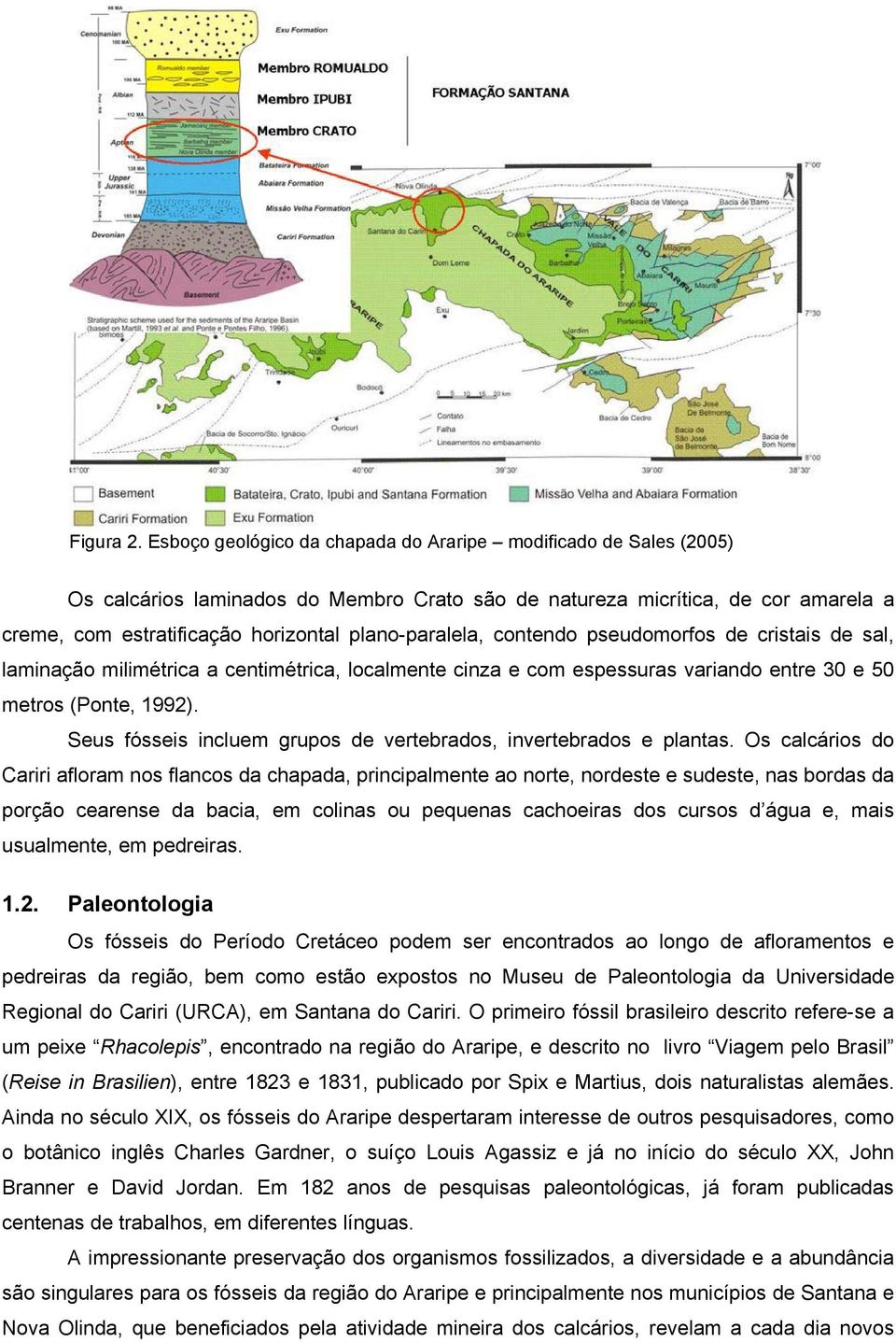 plano-paralela, contendo pseudomorfos de cristais de sal, laminação milimétrica a centimétrica, localmente cinza e com espessuras variando entre 30 e 50 metros (Ponte, 1992).