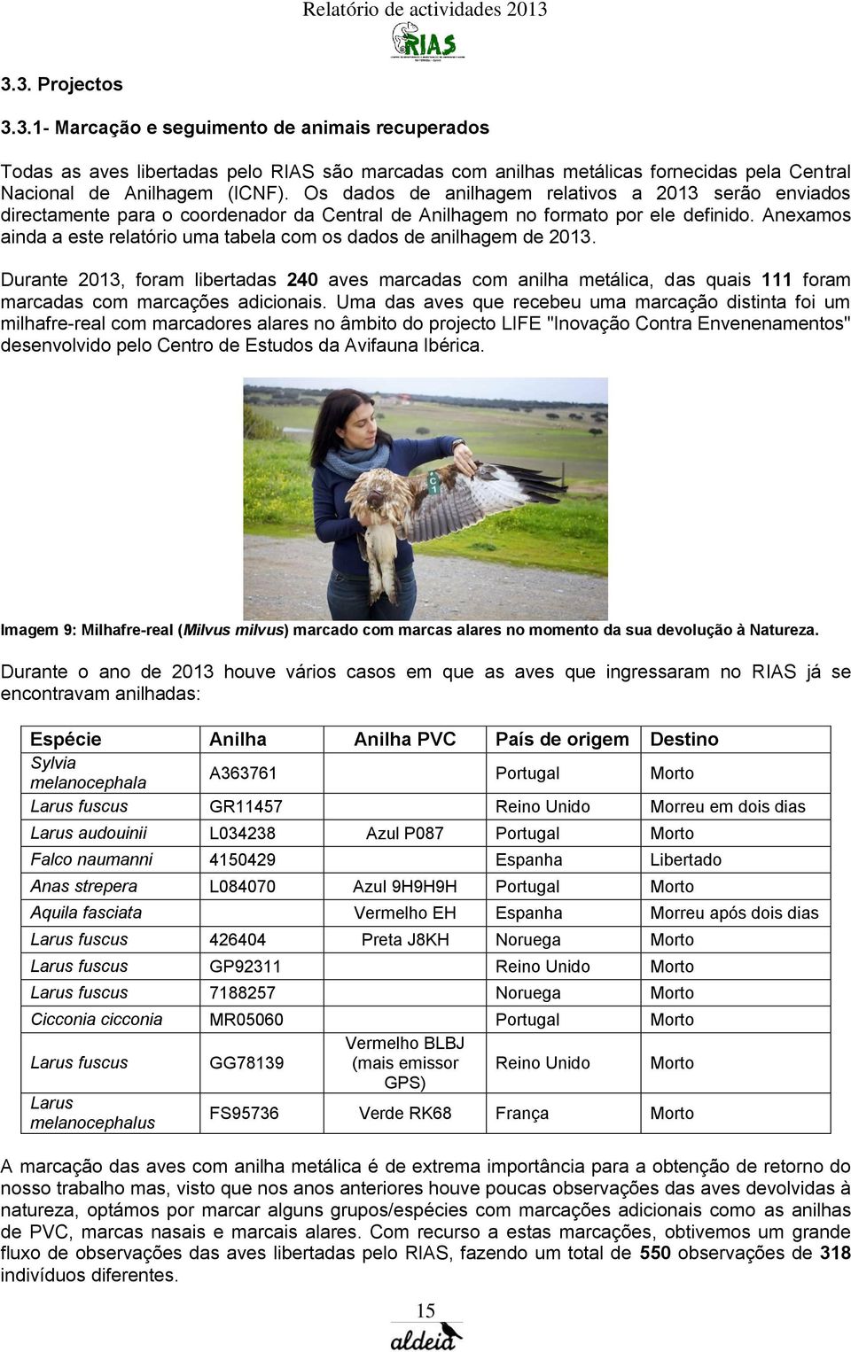 Anexamos ainda a este relatório uma tabela com os dados de anilhagem de 2013.