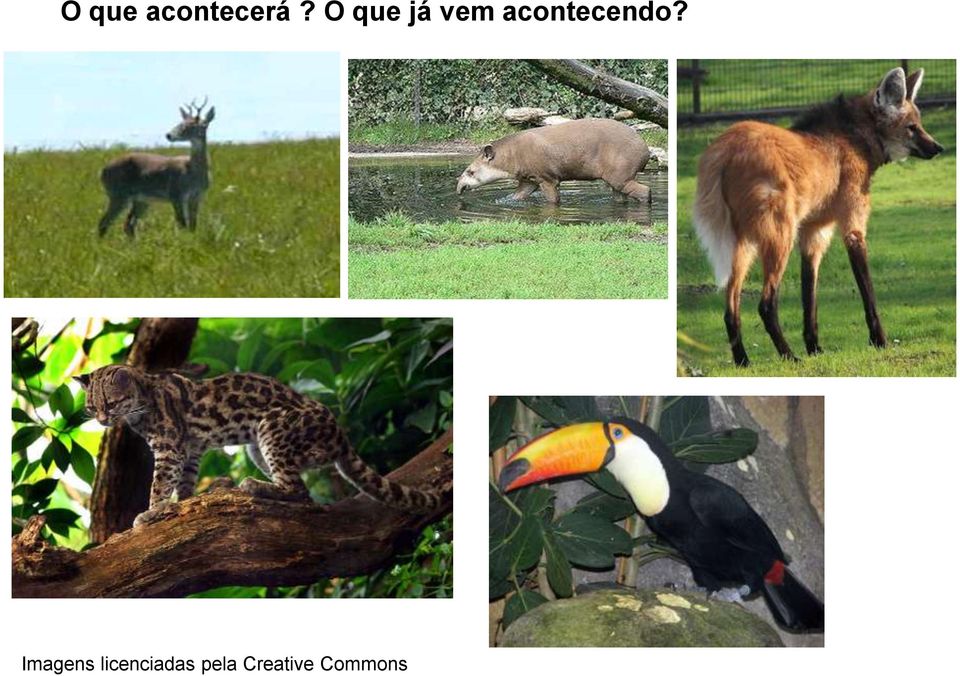 acontecendo?