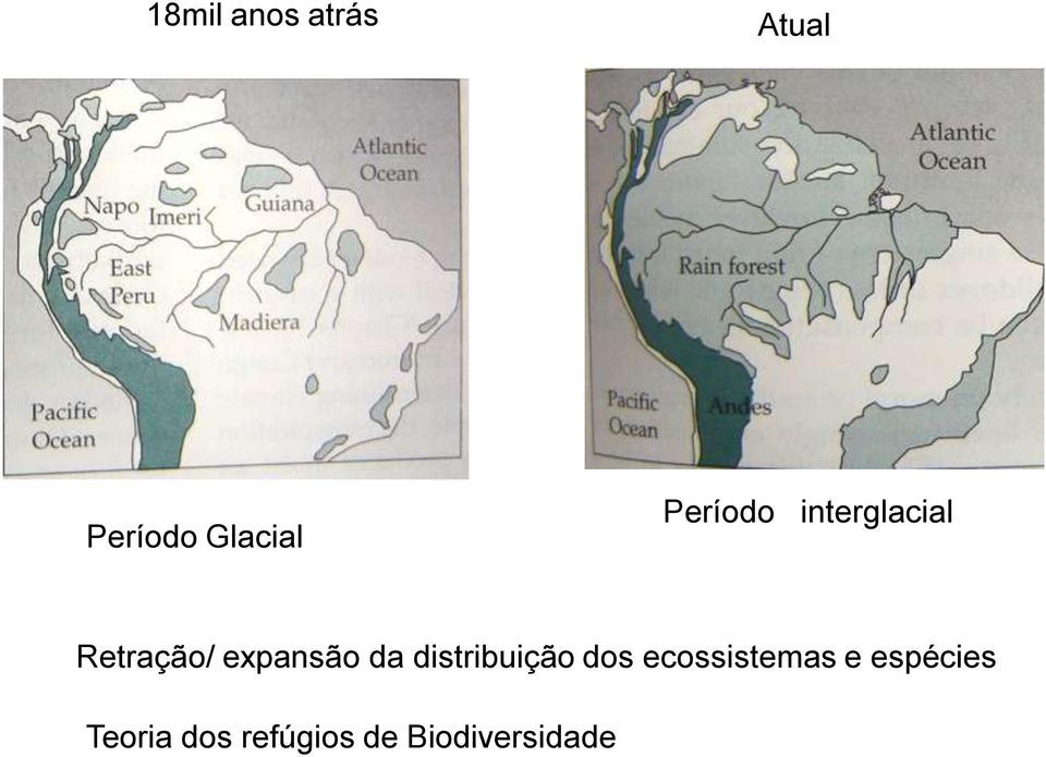 da distribuição dos ecossistemas e