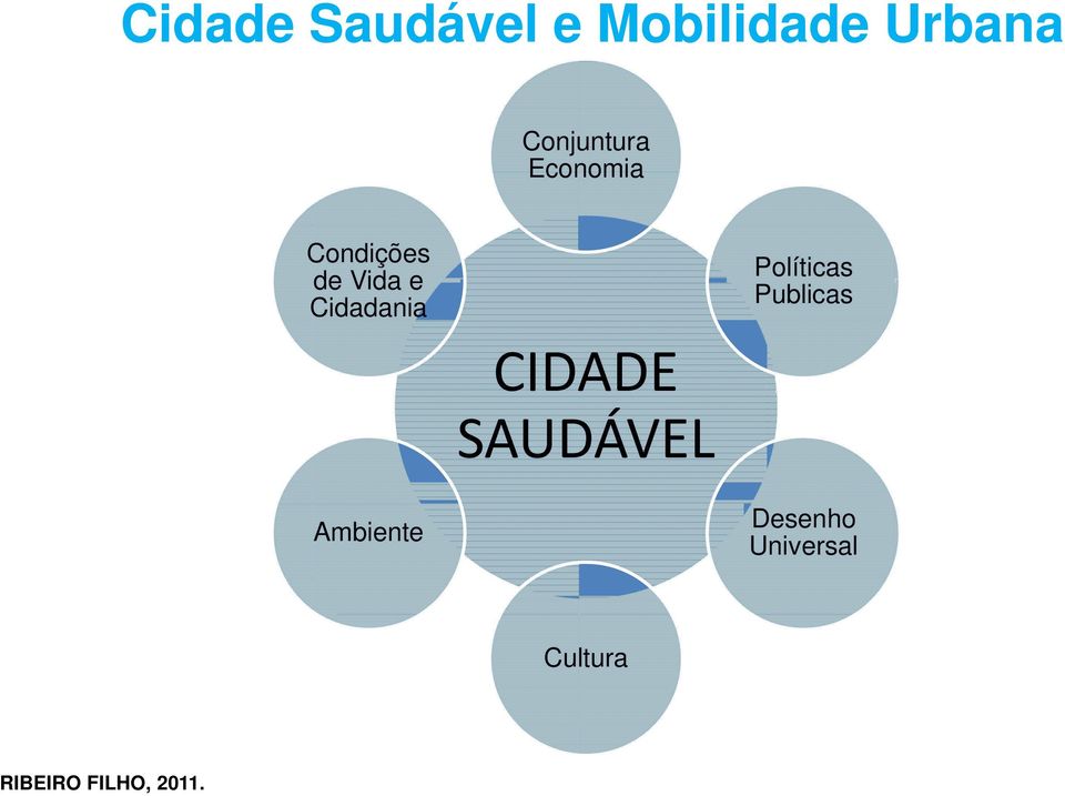 Cidadania Ambiente CIDADE SAUDÁVEL