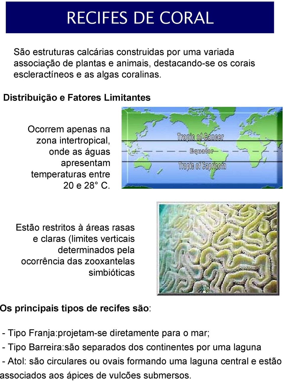 Estão restritos à áreas rasas e claras (limites verticais determinados pela ocorrência das zooxantelas simbióticas Os principais tipos de recifes são: - Tipo