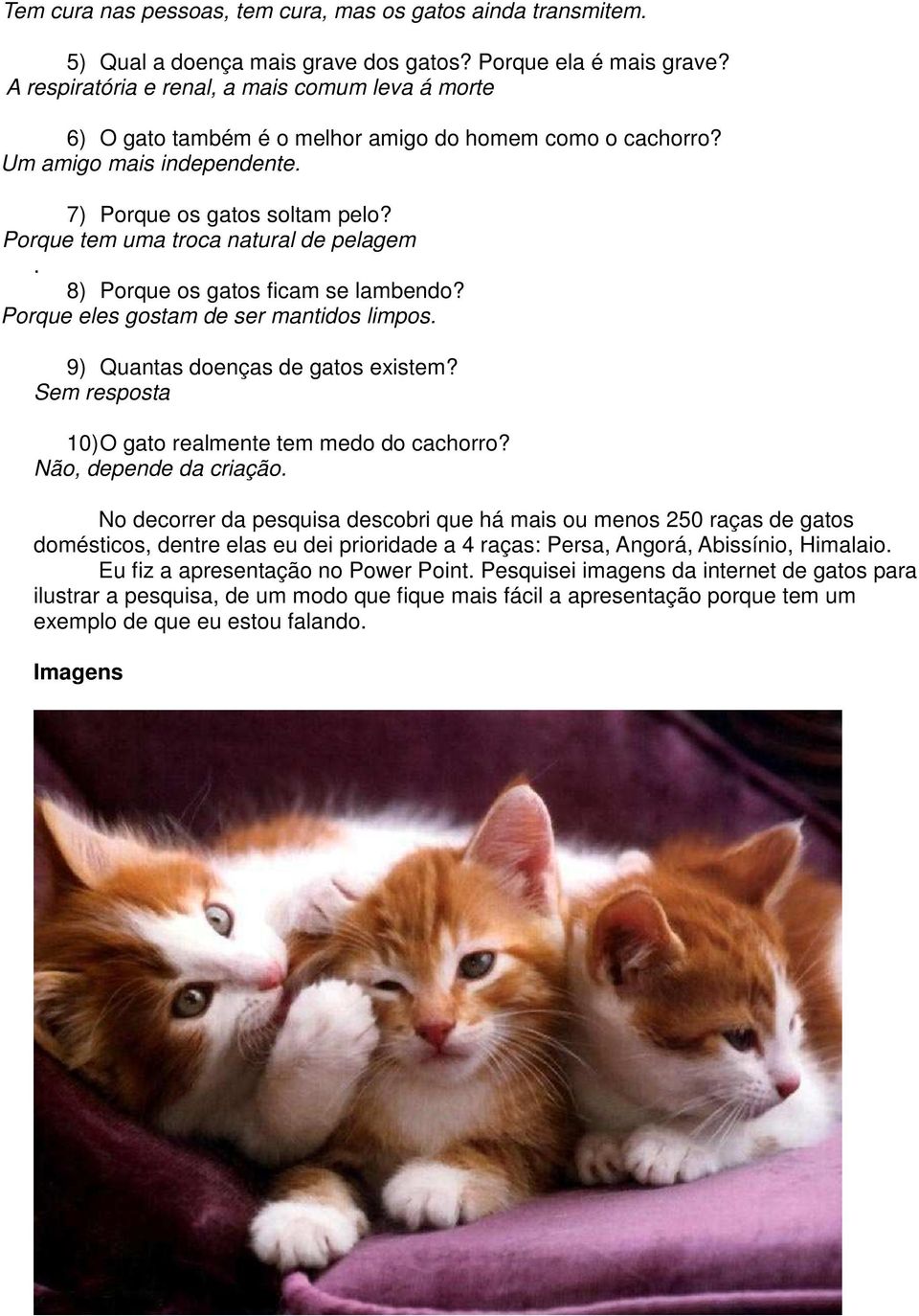 Porque tem uma troca natural de pelagem. 8) Porque os gatos ficam se lambendo? Porque eles gostam de ser mantidos limpos. 9) Quantas doenças de gatos existem?