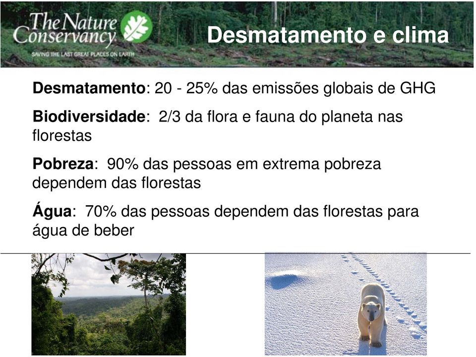 Pobreza: 90% das pessoas em extrema pobreza dependem das