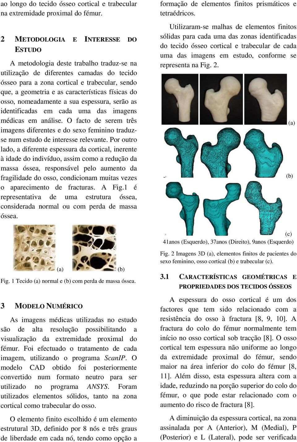 características físicas do osso, nomeadamente a sua espessura, serão as identificadas em cada uma das imagens médicas em análise.